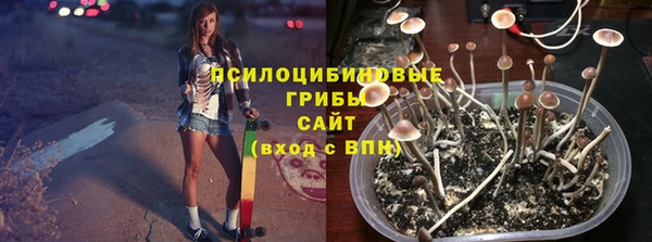 тгк Липки