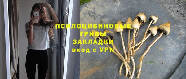 молекула духа Лиски