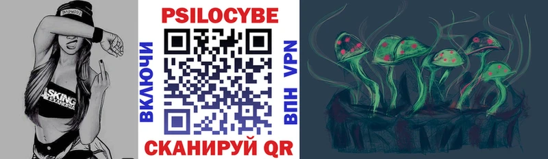 Купить где  Сортавала  Псилоцибиновые грибы Cubensis 