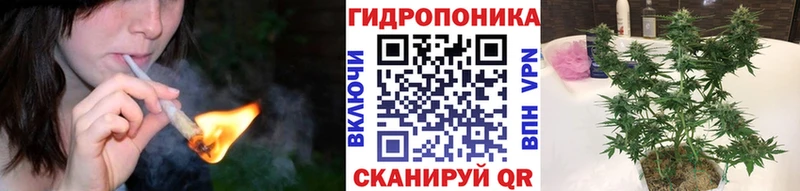 Бошки Шишки OG Kush  Купить закладки  Сортавала 